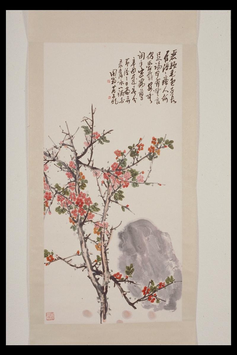 Apricot Blossom