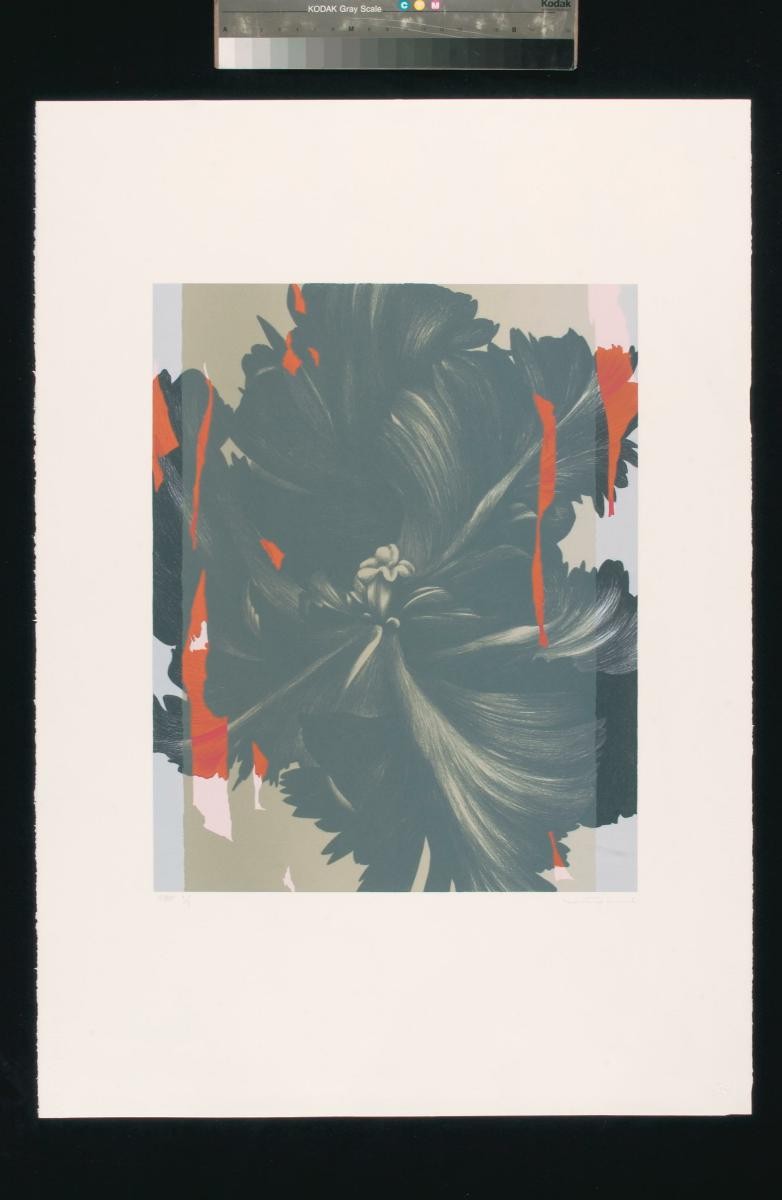 Flower and the Fragment Series/Colour Paper 3