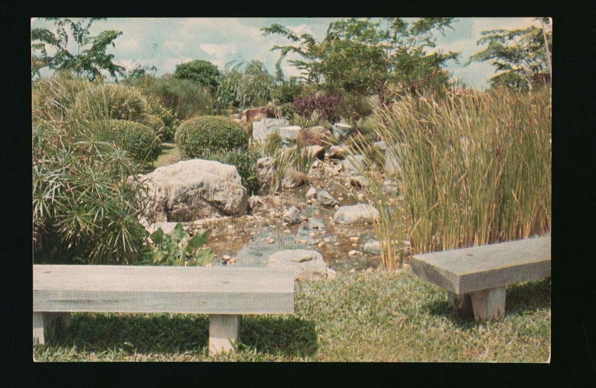 A pond in the Seiwaen Japanese Garden at Jurong