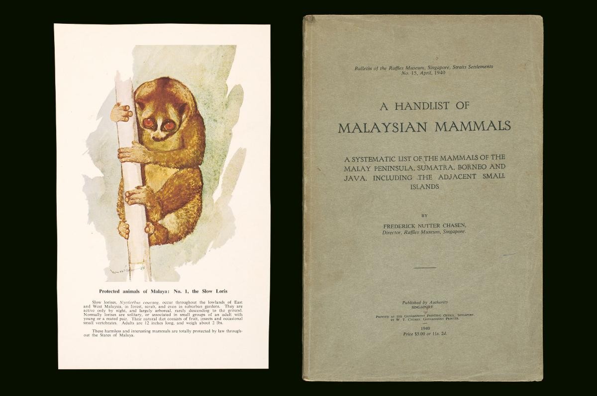 ‘A Handlist of Malaysian Mammals: A Systematic List of the Mammals of the Malay Peninsula, Sumatra, Borneo and Java, including the Adjacent Small islands’ by Frederick Nutter Chasen