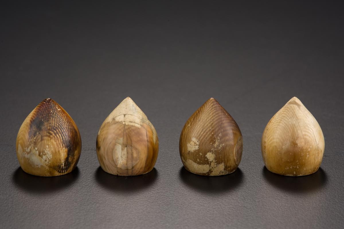 Game pieces in the form of acorns
