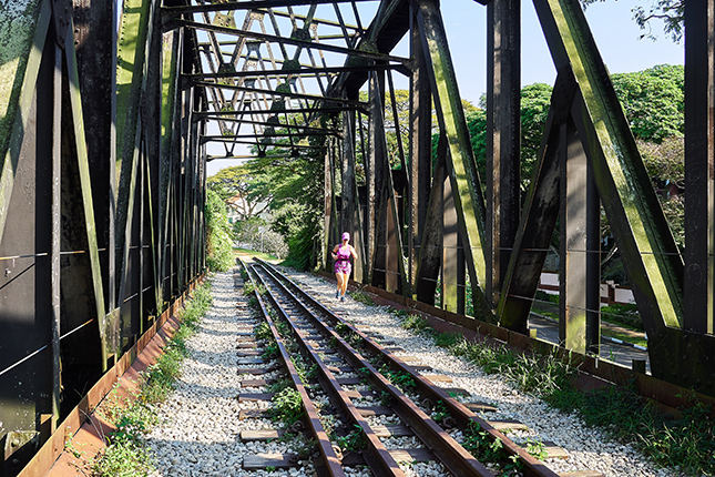 Bukit Timah Heritage Trail - Kampong Life Trail