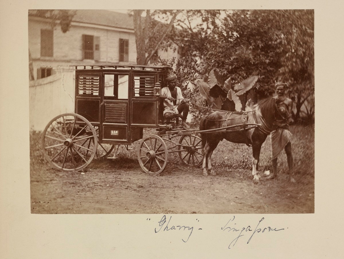 Horse carriage with Indian driver