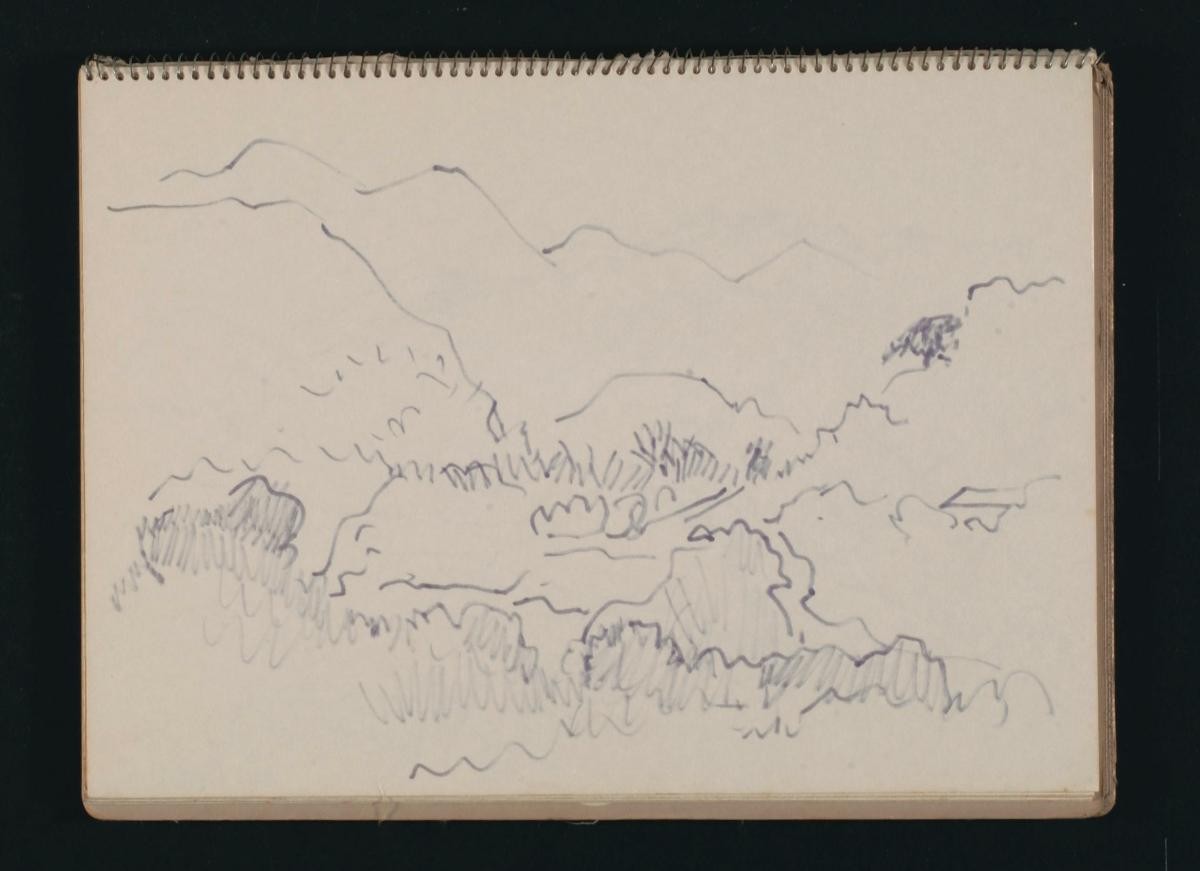 Untitled (Trees and Mountains)
