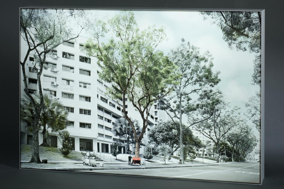 Monkey God Tree, Jurong West