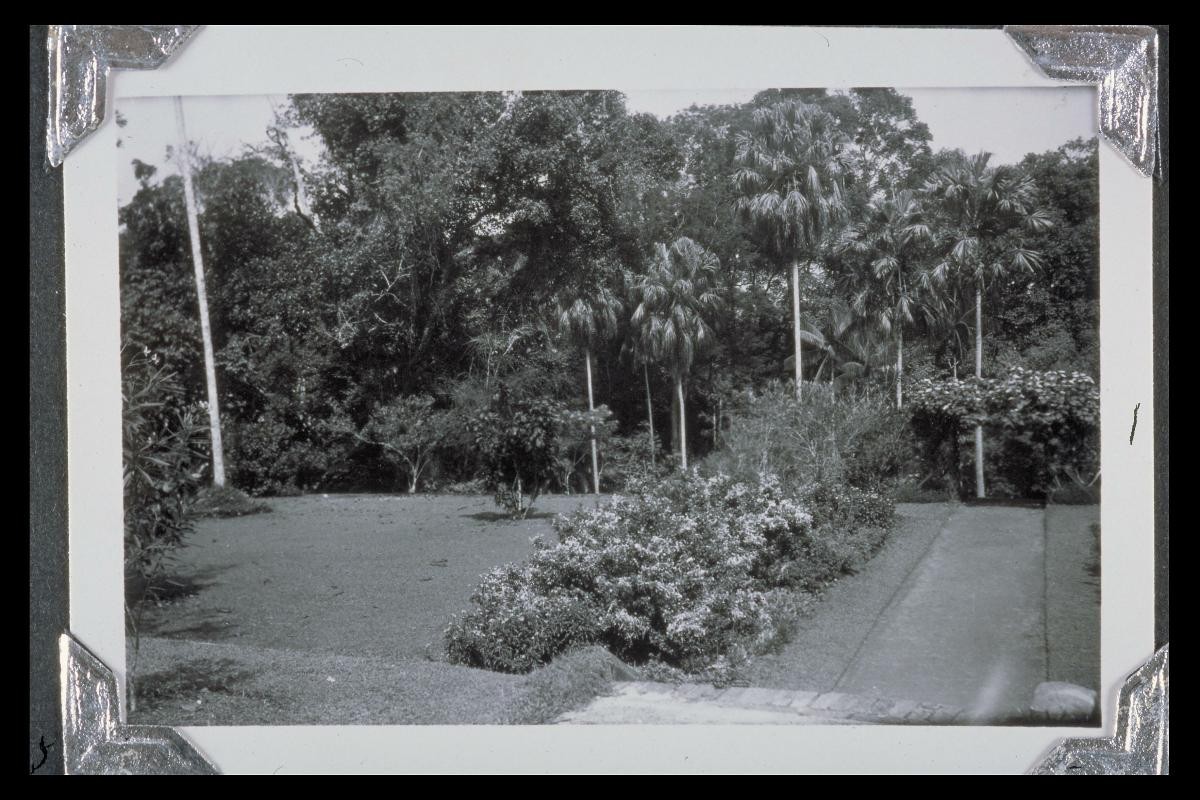 The Singapore Botanic Gardens