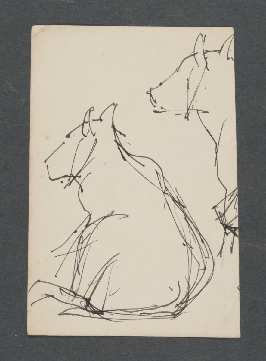 Untitled (Backview of Two Cows)