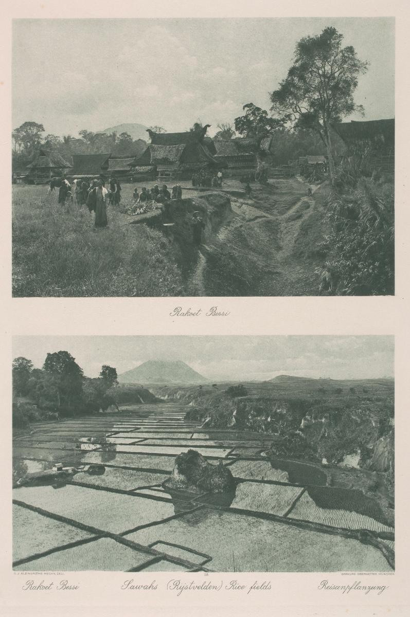 Views of villagers and rice fields by C.J. Kleingrothe