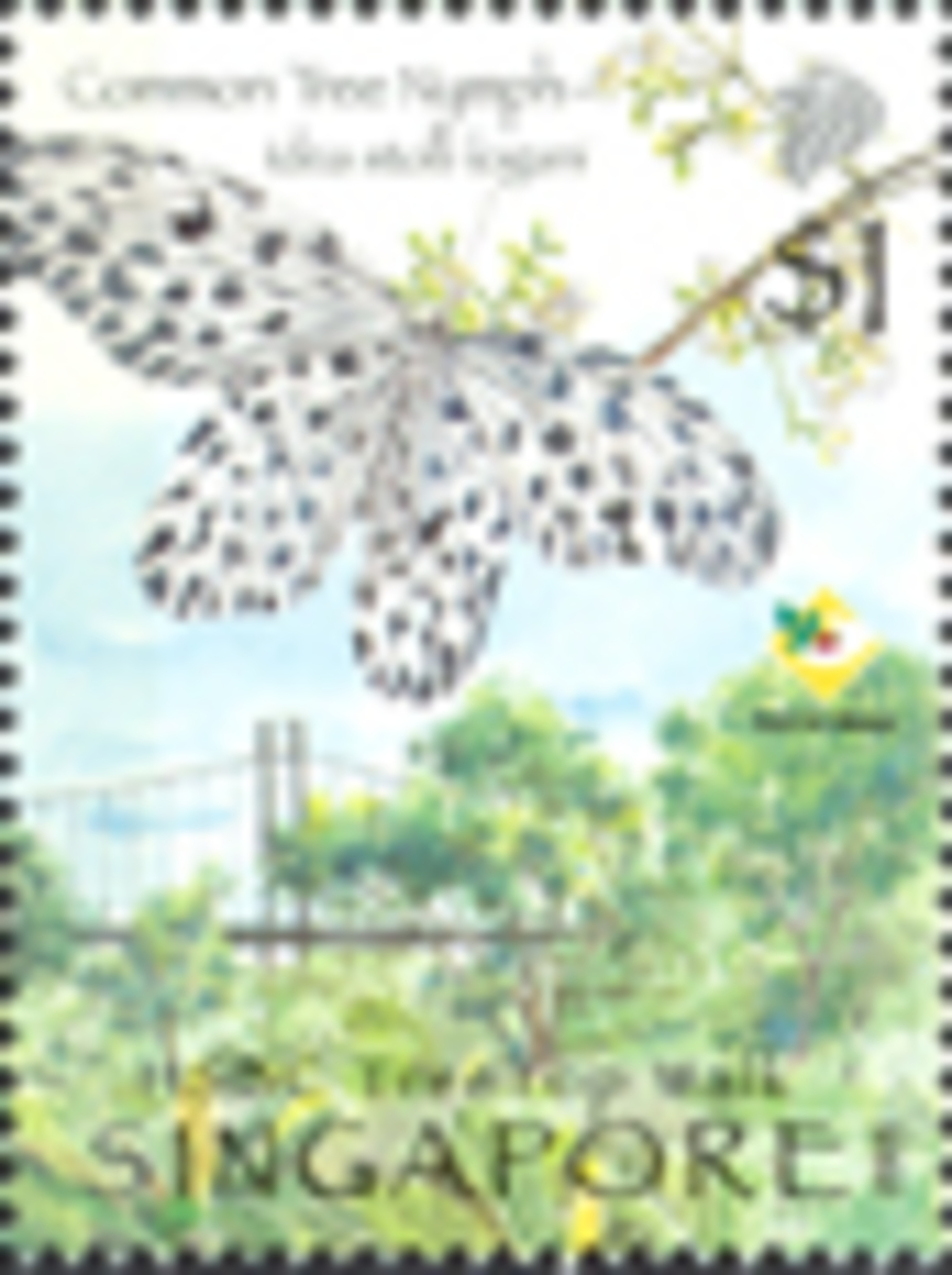 Tree Top Walk - "A View From The Top"
