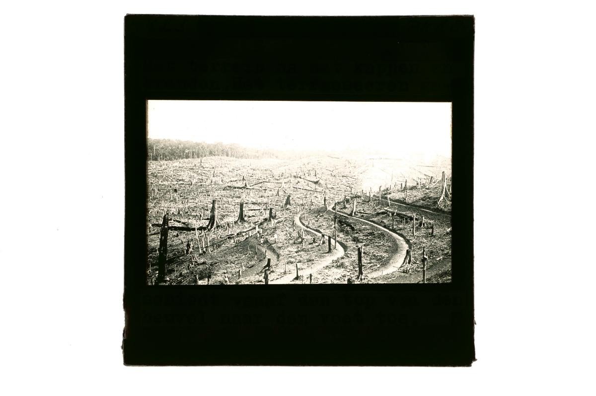 A glass lantern slide depicting a landscape scene