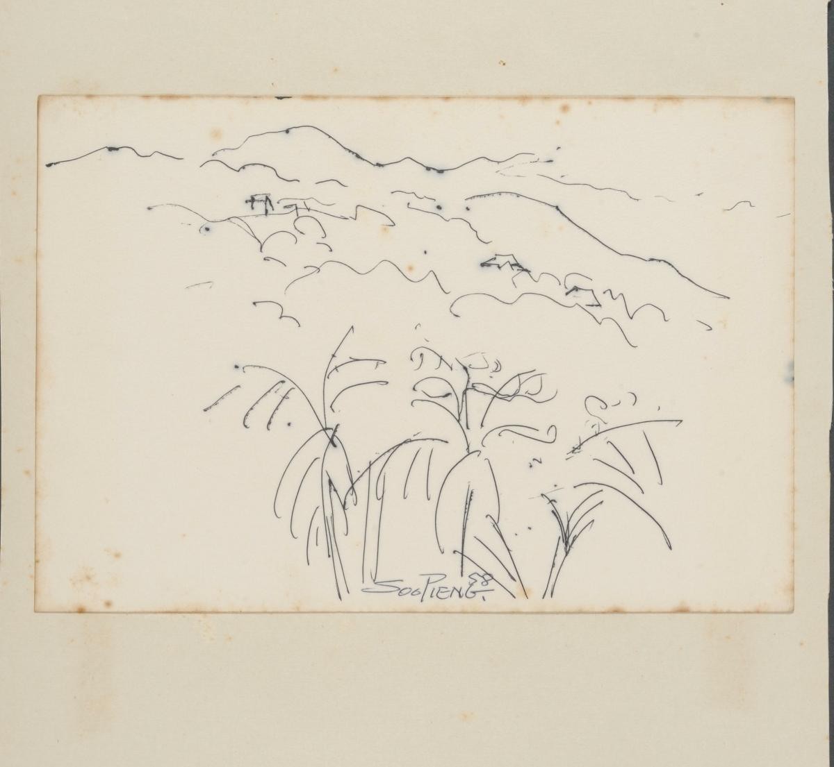 Untitled (Three Trees on A Hill)
