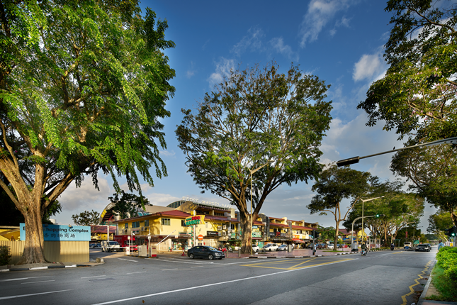 Simpang Bedok and Koh Sek Lim