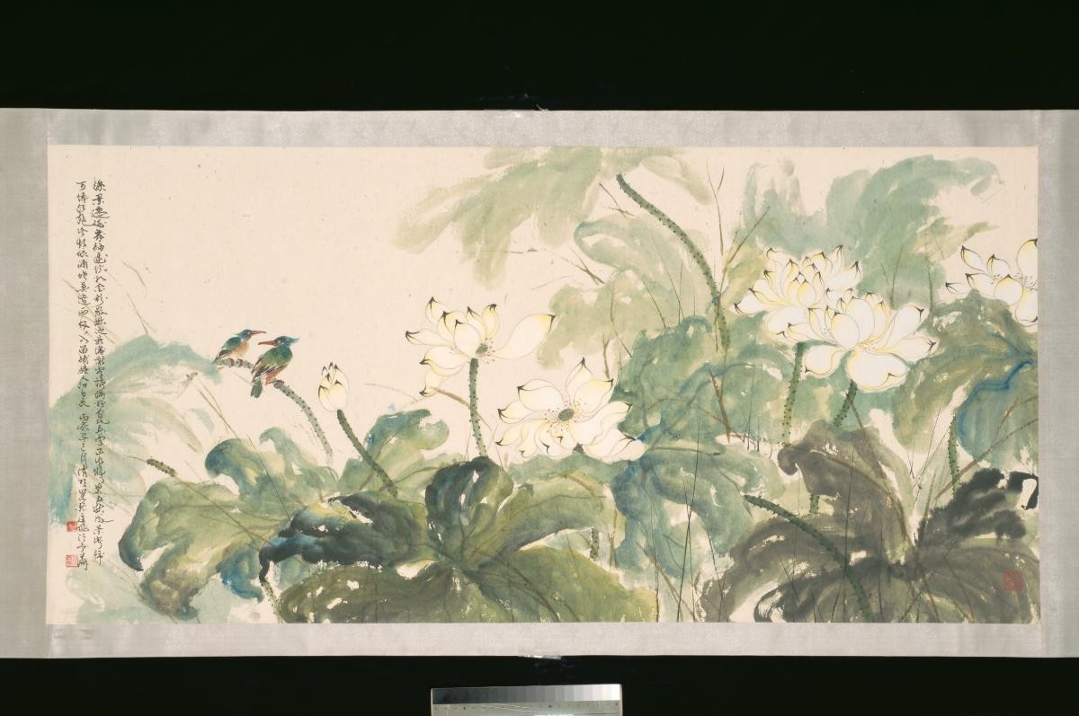 Lotus