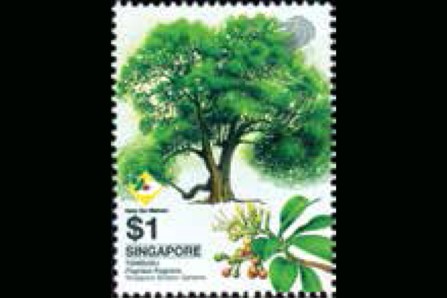 a branch of history 2