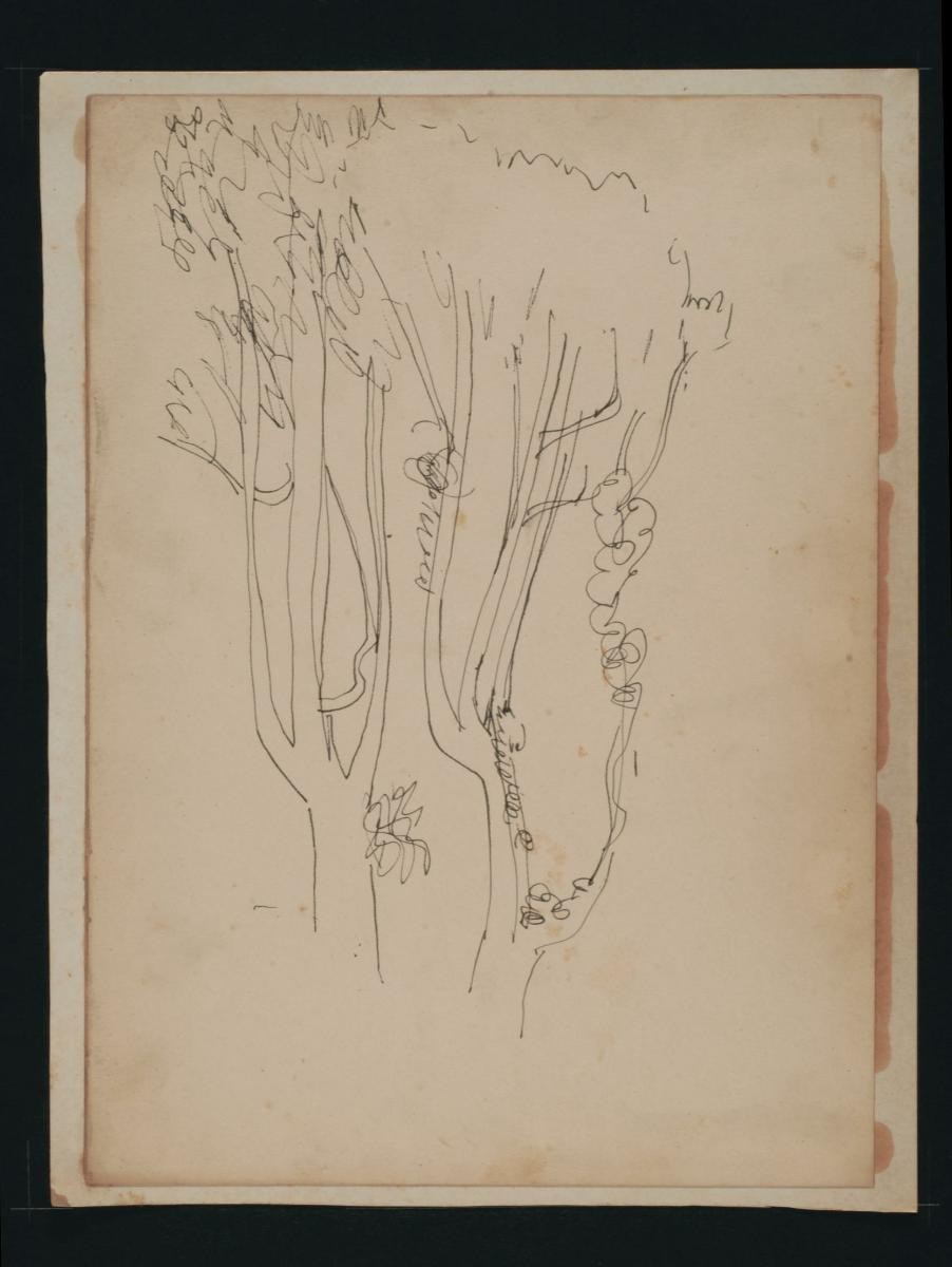 Untitled (Two Trees)