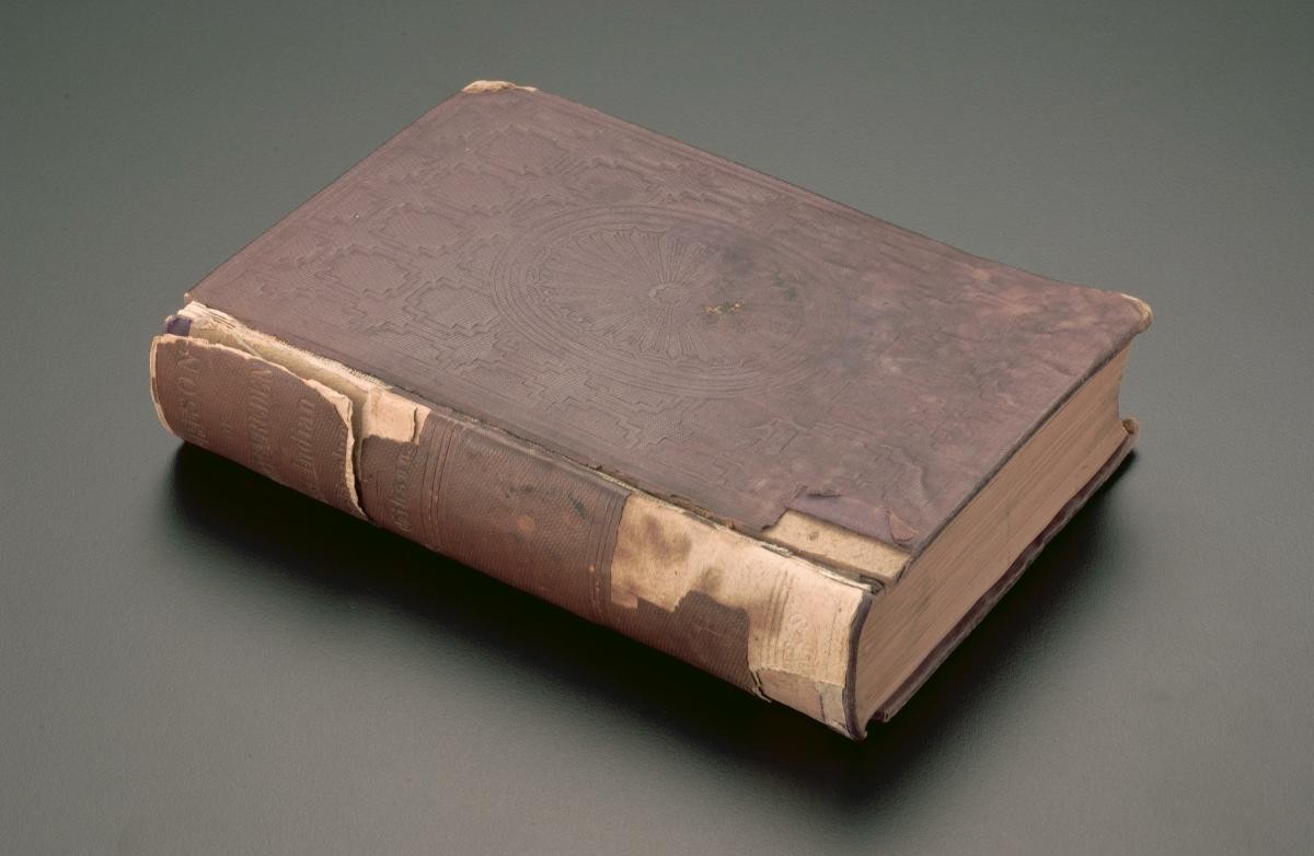 The Prison of Weltevreden by Walter M. Gibson