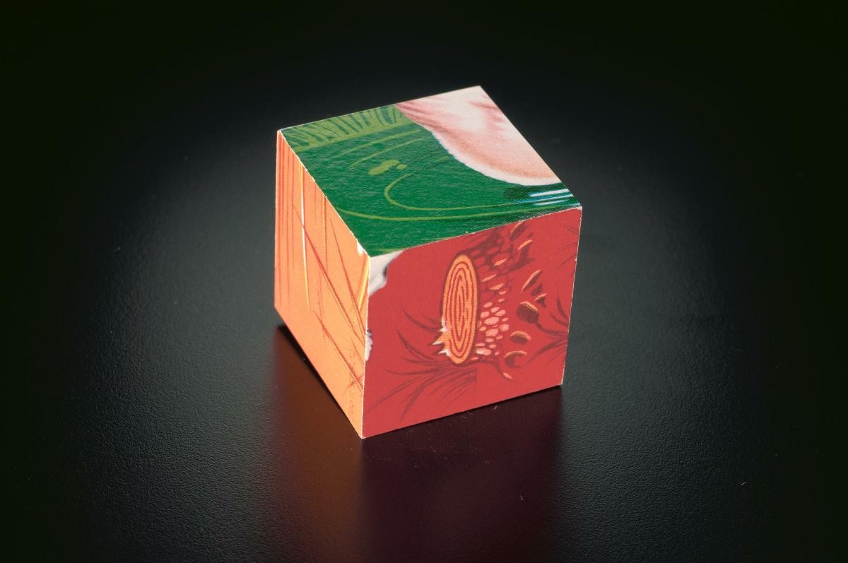Wooden cube printed with animal pictures for children