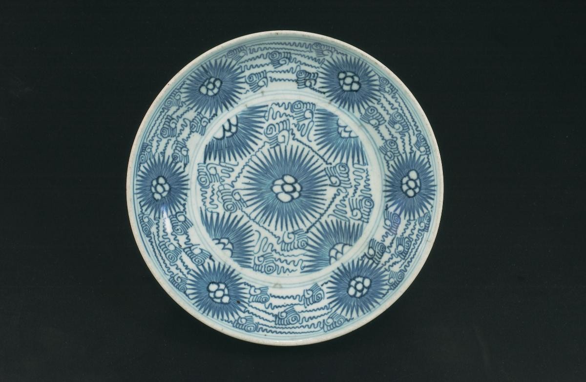 Dish