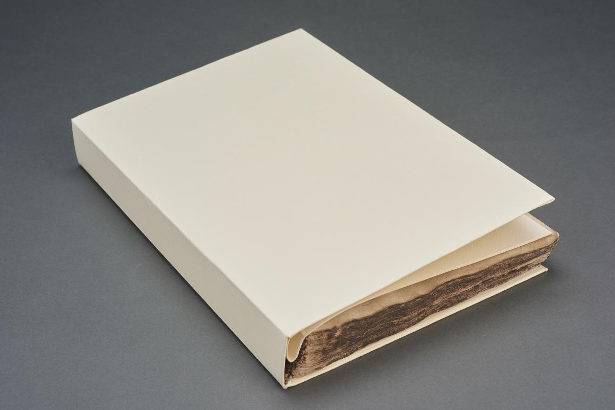 Section of a Qur'an