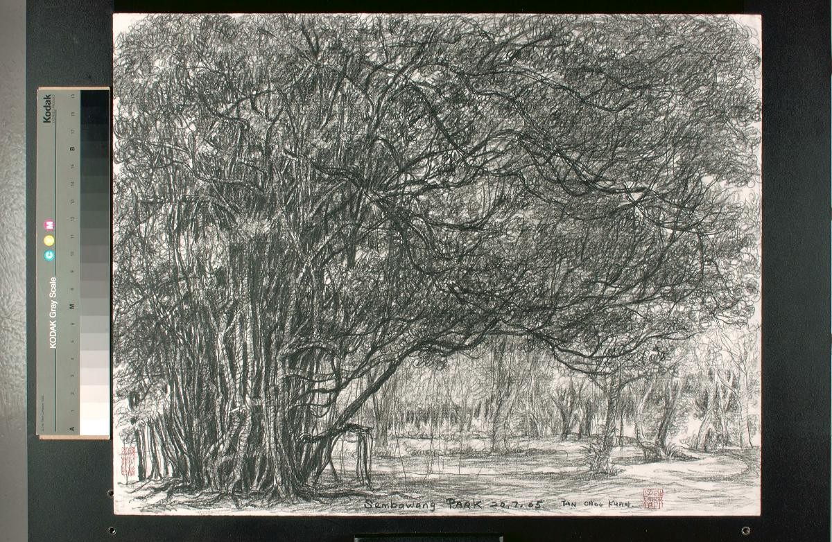 Sembawang Park