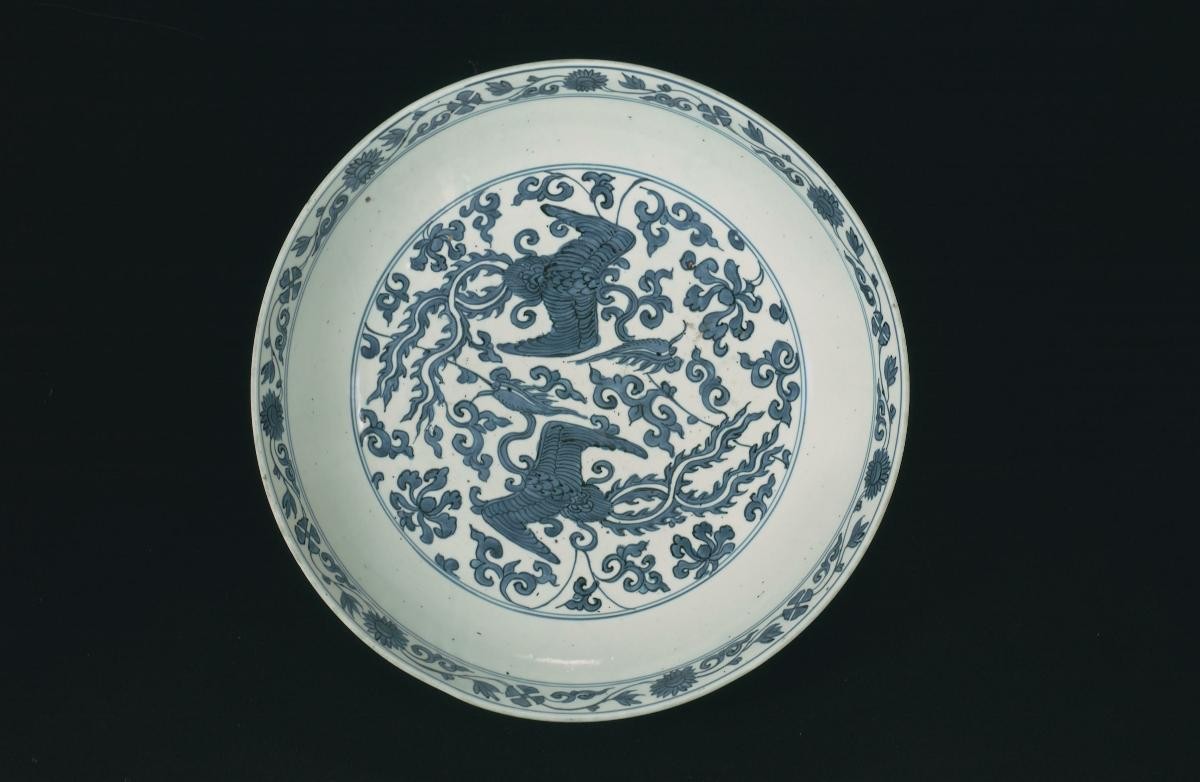 Dish