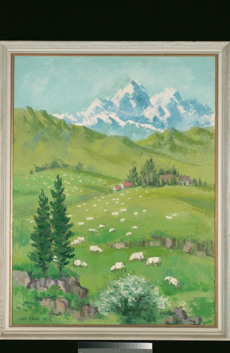 New Zealand Landscape