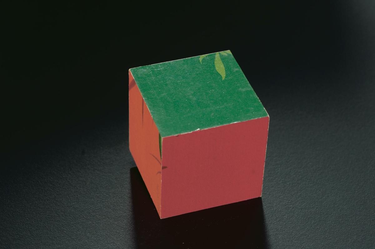 Wooden cube printed with animal pictures for children
