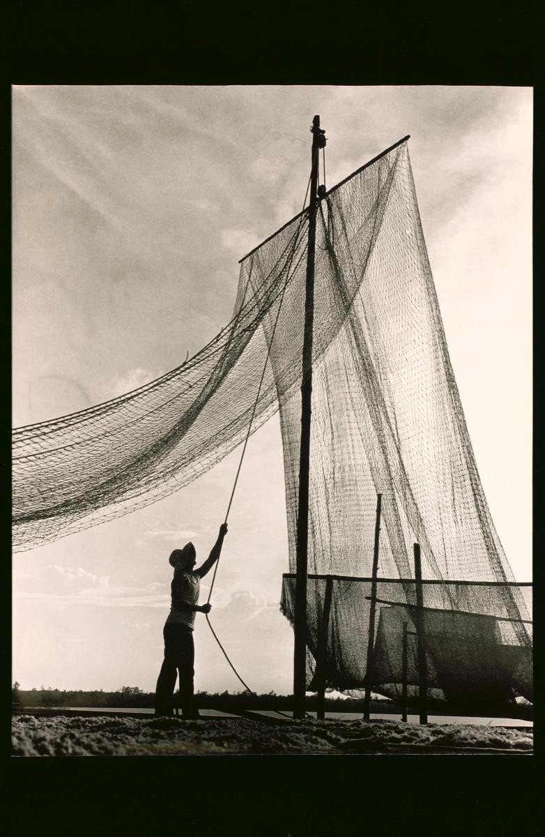 'Net Drying' by Chua Tiag Ming