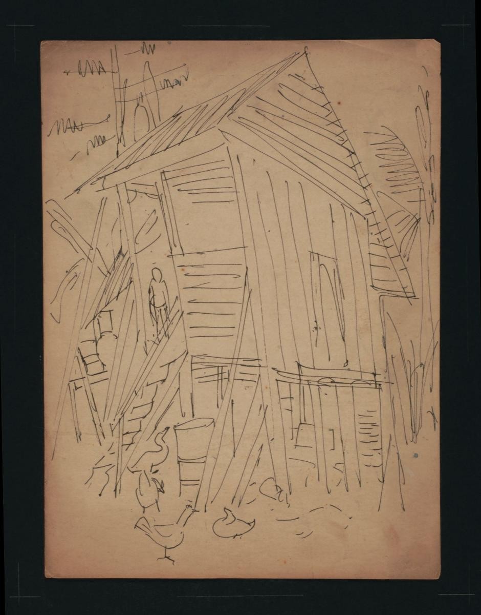 Untitled (Person in House, Ducks and Chickens)