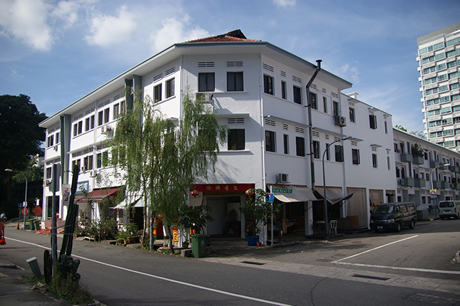 110 Prinsep Street (Former Salmon's Maternity Home)