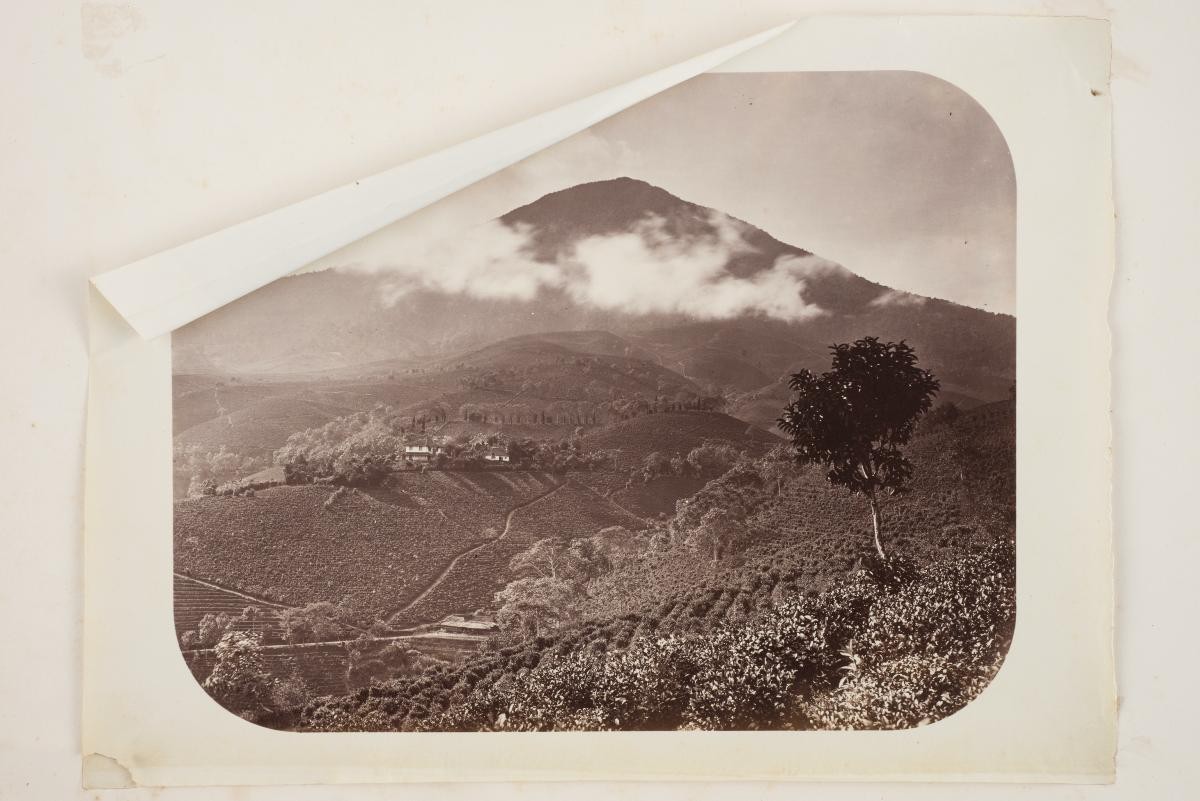 Photograph album of views and portraits in the Punjab, Cashmere, Ceylon, Burma, Penang, Singapore, and Java