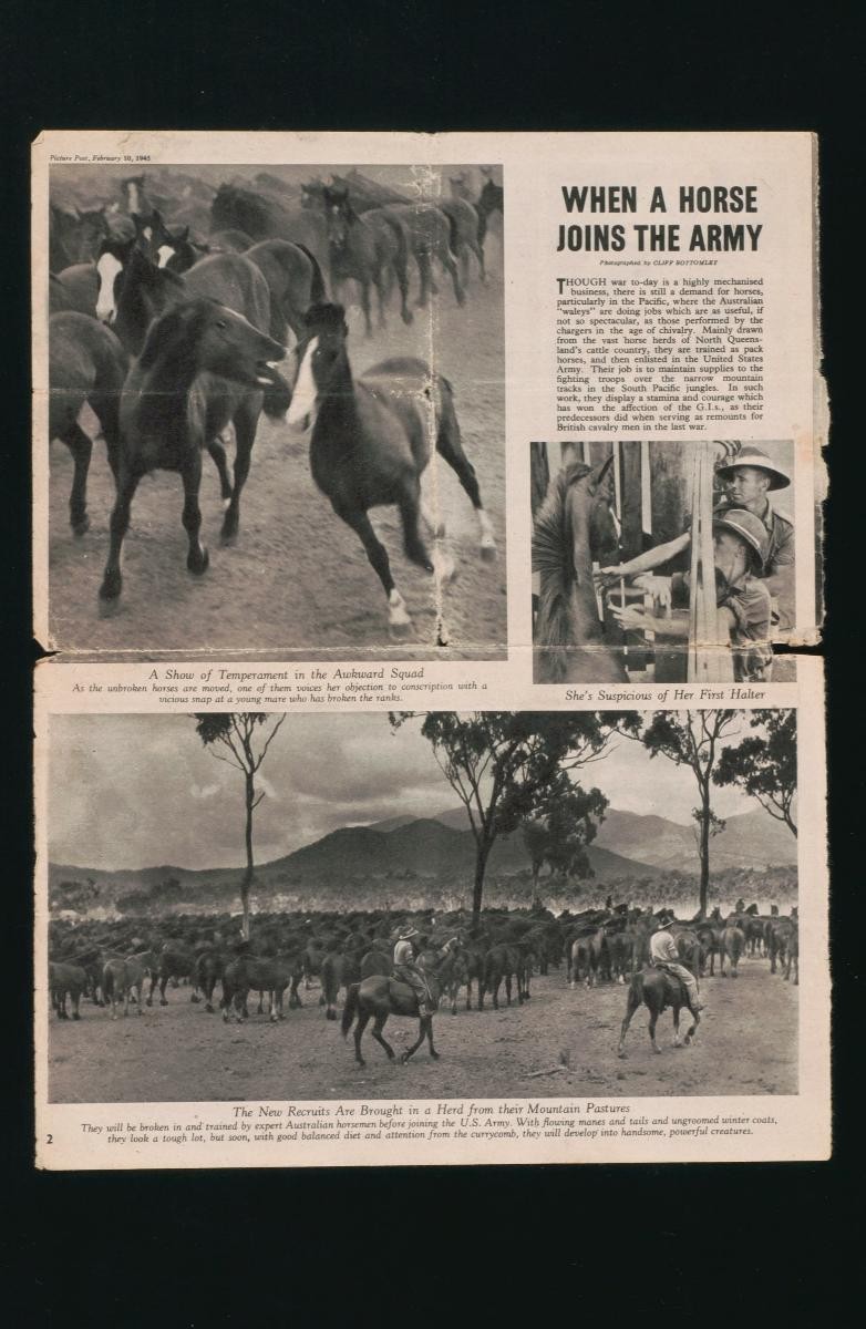 Press clipping related to the Entertainments National Service Association (ENSA)