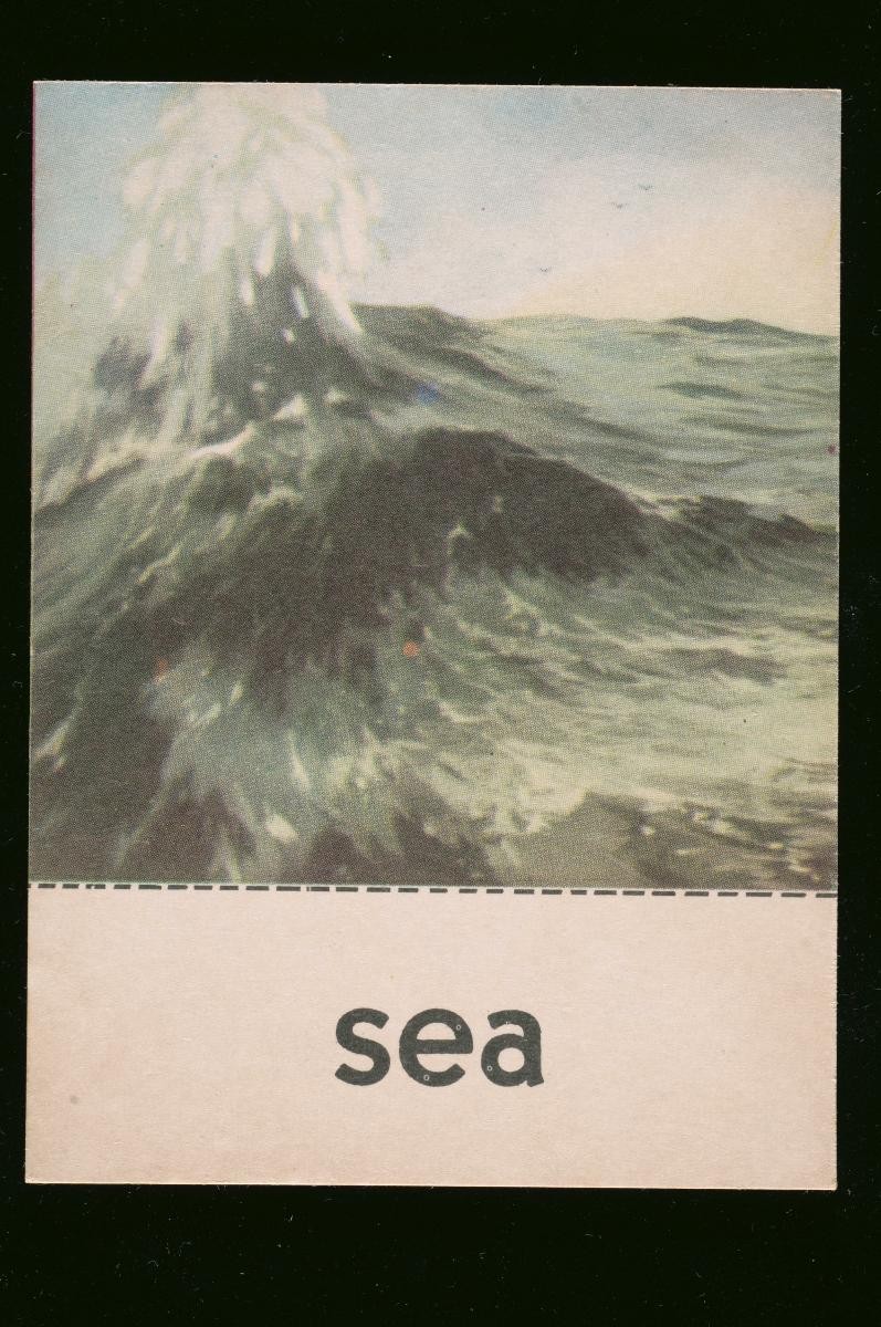 English vocabulary picture cards for children