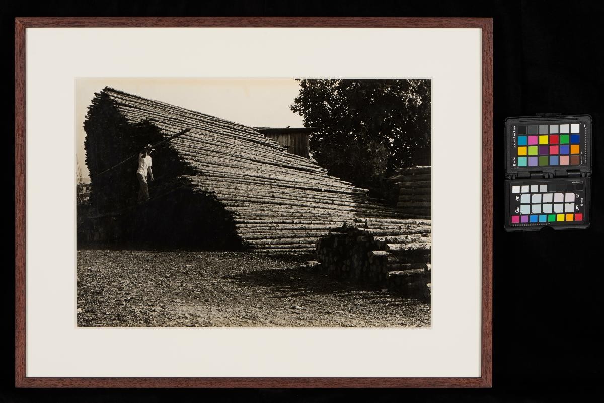 'Wood for Piling' by Chua Tiag Ming