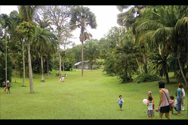 the singapore botanic gardens a living and growing heritage 9