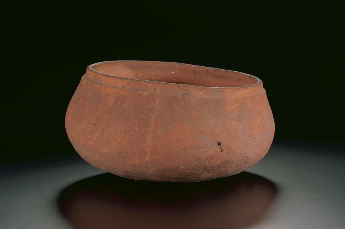 Pot