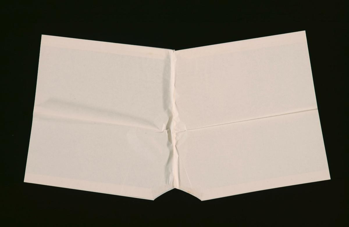 A pair of white paper shorts