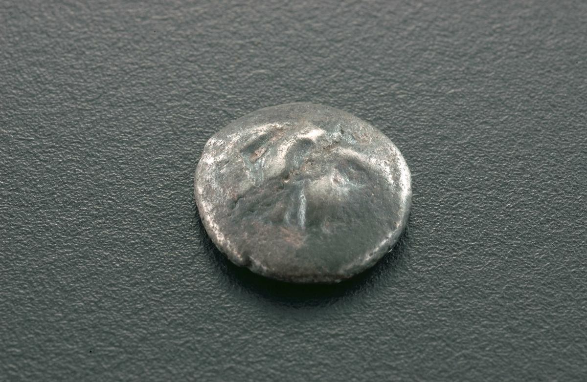 Disc-shaped coin