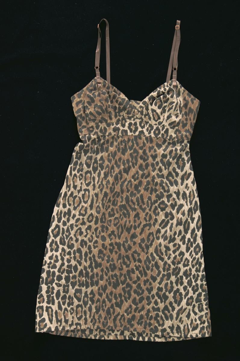 Dolce & Gabbana leopard print dress