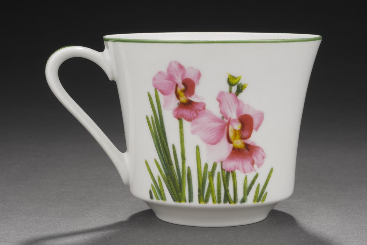 La Germania Vanda Miss Joaquim coffee cup