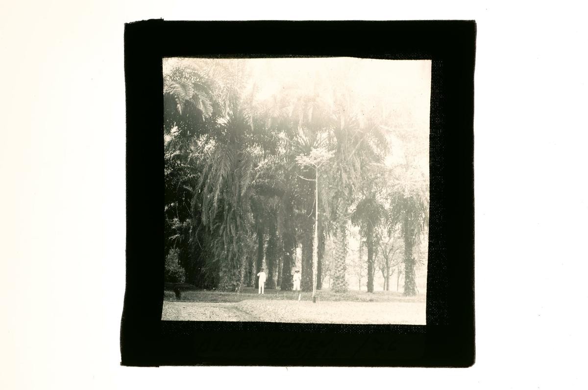A glass lantern slide depicting two European men in a garden