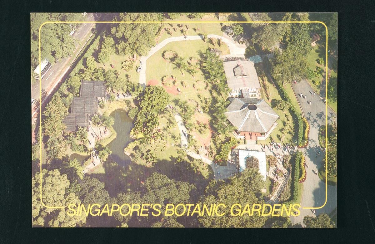 A bird's-eye view of the Singapore Botanic Gardens