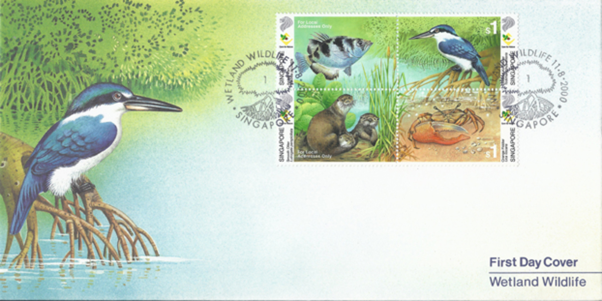 Wetlands Wildlife - "A step closer to nature"