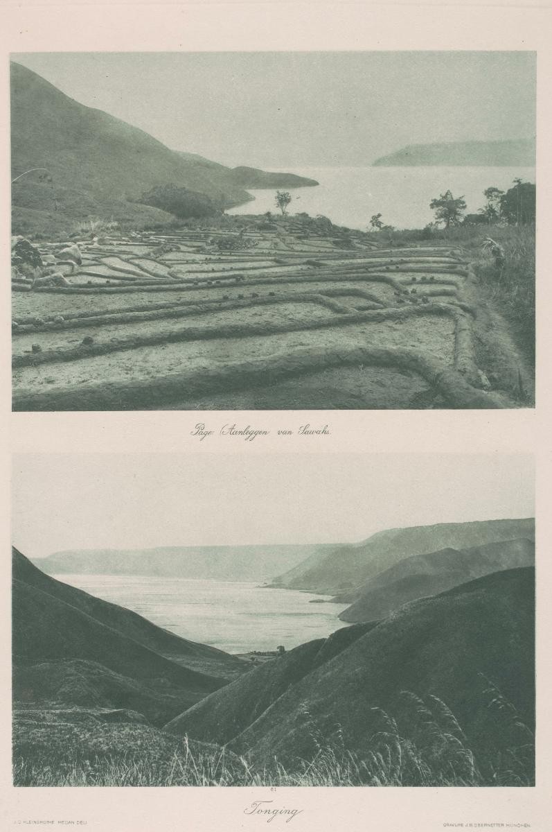 View of rice terraces by C.J. Kleingrothe