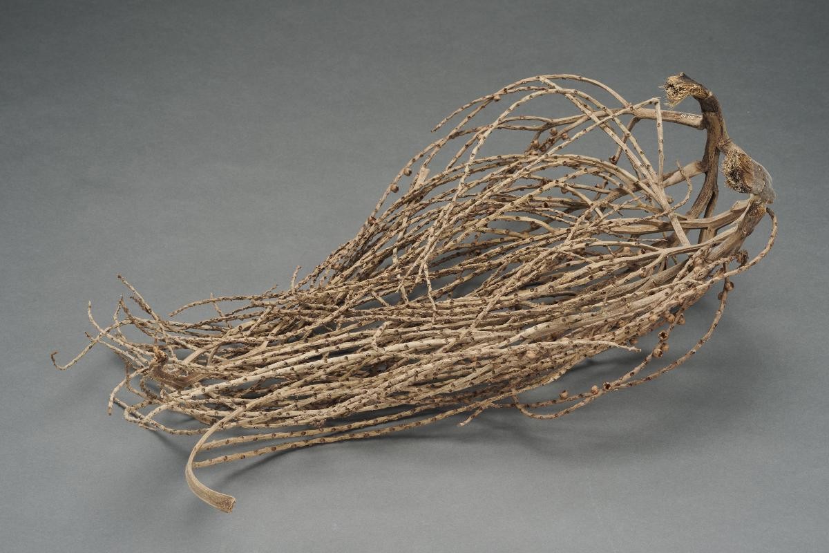 Headdress made of branches