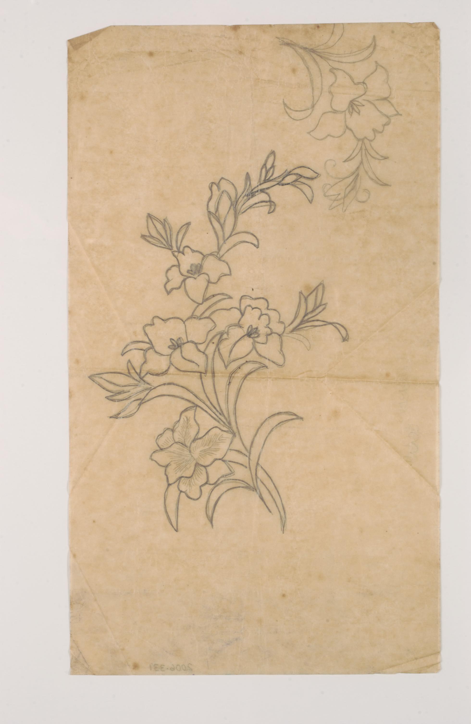 <strong> A paper stencil of embroidery patterns for the kebaya<br>
</strong><br>
2006-00331<br>
c. 1950s-1960s<br>
Singapore<br>
<span style="color: black;">Collection of the National Museum of Singapore<br>
</span>Gift of Mr. Peter Wee, Katong Antique House
