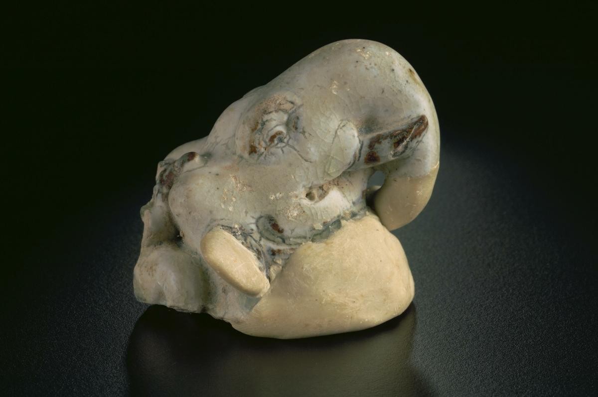 Elephant head