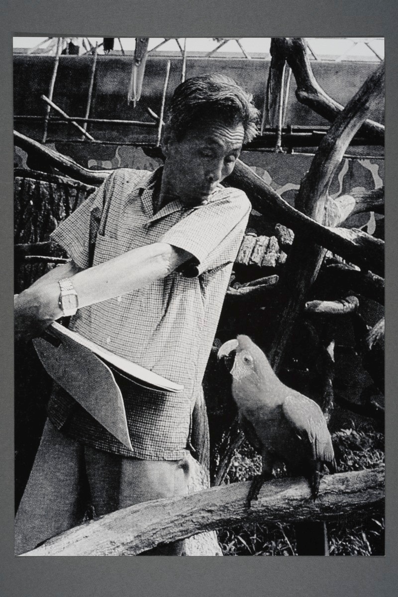 #2 of 3 - Wu Guanzhong observes parrots during an outdoor sketching session at the Singapore Bird Park, 1980s-1990s.吴冠中在新加坡鸟类公园写生鹦鹉时的情景。20世纪80-90年代,于新加坡。