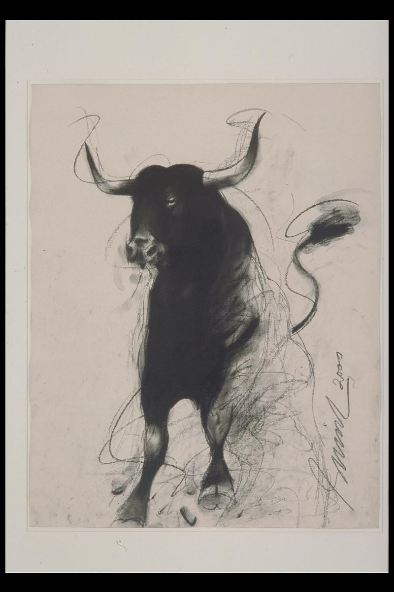 Bulls 3
