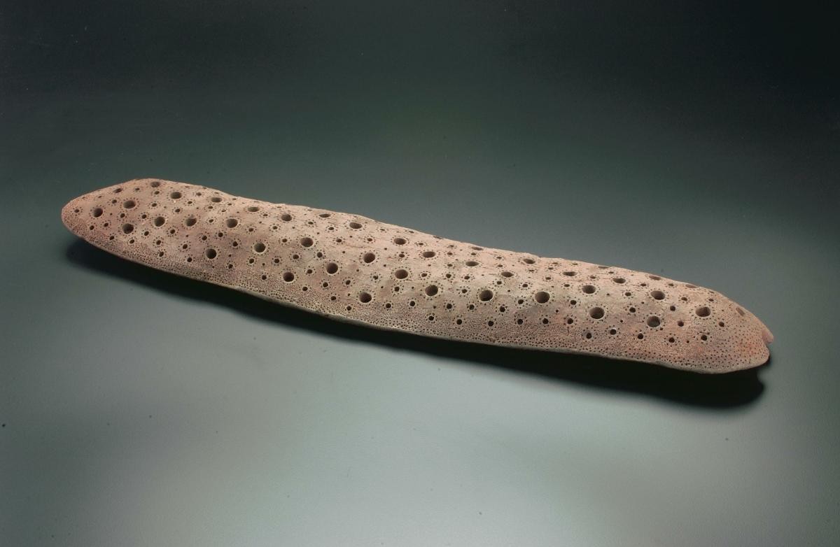 Flat Vessel
